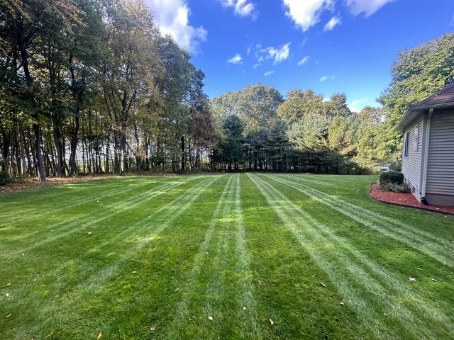 Freshly mowed lawn with clean mower stripes running toward a wooded tree line