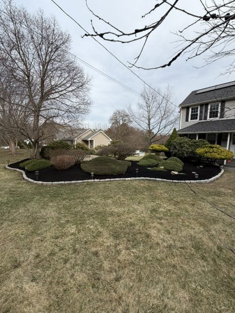 Island garden bed with fresh dark mulch, shaped shrubs and a cobblestone border